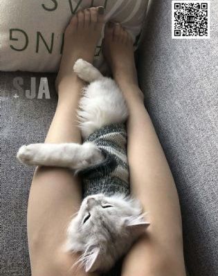 欧美男男gayvideosxxx_BD英语神马影院手机在线